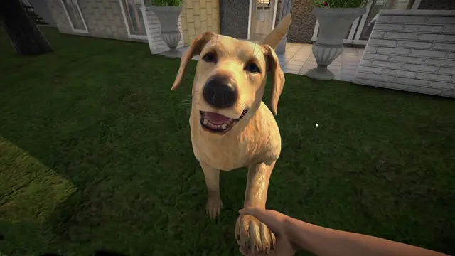 Pets Hotel добавляет гостиничный менеджмент для питомцев