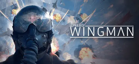 Project Wingman делает воздушные бои быстрыми, зрелищными и понятными без полной симуляторной нагрузки
