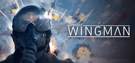Project Wingman делает воздушные бои быстрыми, зрелищными и понятными без полной симуляторной нагрузки